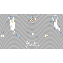idol singer-GS  2816